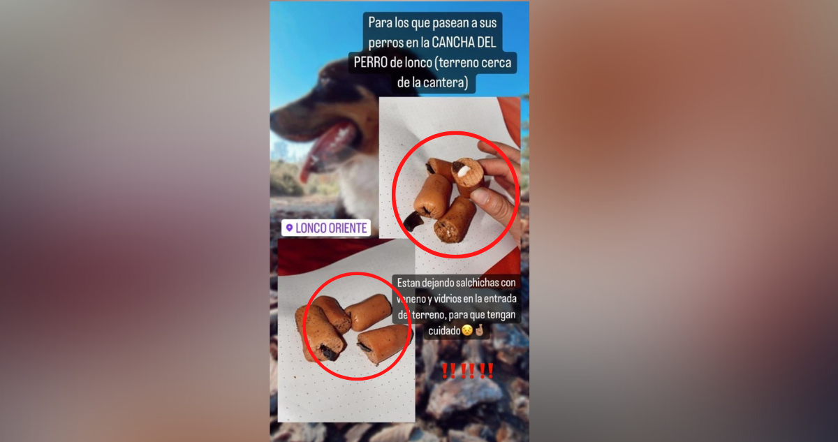 Vecinos de Lonco alertan de salchichas con veneno para matar a mascotas chiguayante