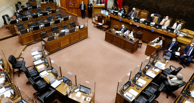 proyecto de indulto