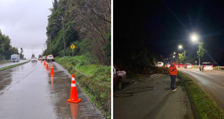 Serviu comenzará trabajos en retiro de escombros de cerro que cayó en Chiguayante: demorará 20 días
