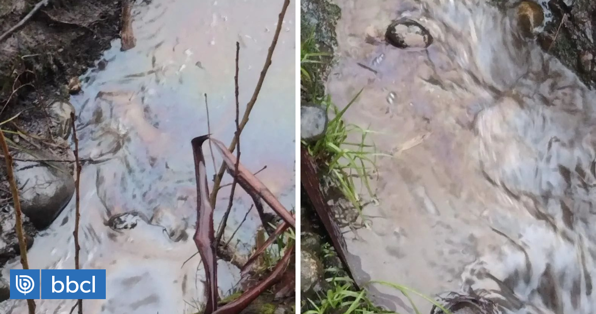 Denuncian nueva contaminación en río Rahue de Osorno comprobaron