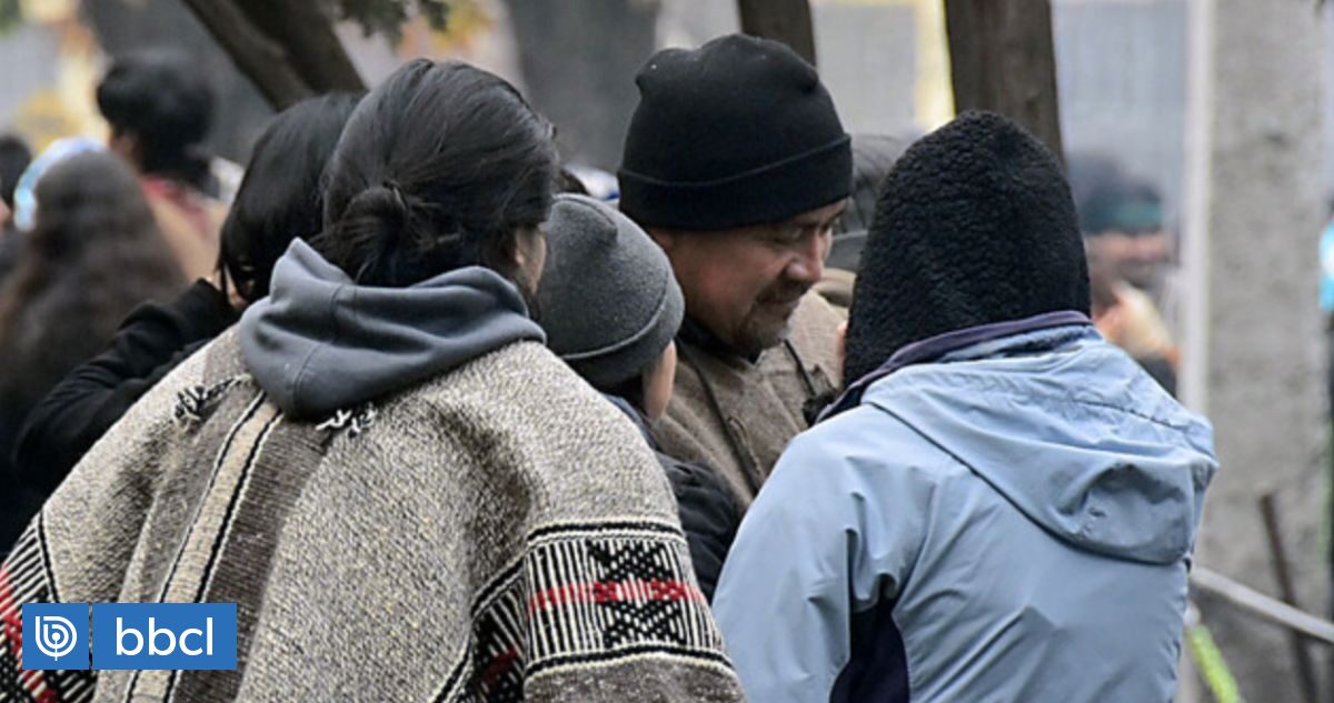 Coordinadora Arauco Malleco se adjudicó ataque que destruyó 10 equipos