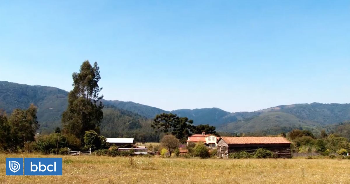 Así era el Molino Grollmus que fue quemado en un ataque incendiario