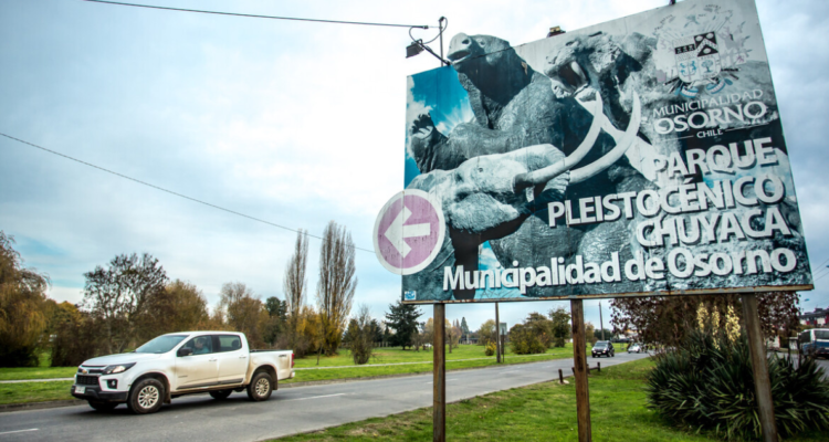 Apercibido por tala de árbol en Parque Chuyaca de Osorno