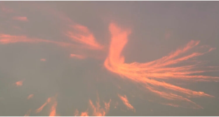 Tornado de fuego se forma en medio de devastador incendio en California