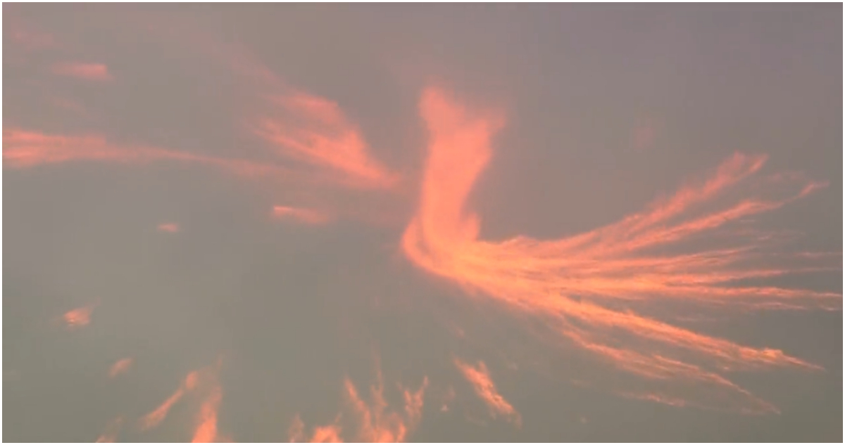 Tornado de fuego se forma en medio de devastador incendio en California