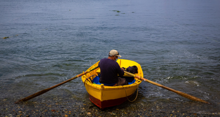 Tregua en “Guerra del Erizo”: Los Lagos cierra temporada y Aysén iniciará pesca en dos semanas