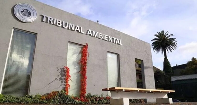 Valdivia tribunal invalida resolución ambiental de proyecto inmobiliario Brisas de Torobayo
