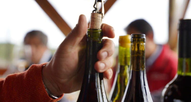 Día del Vino 2022 se celebra con gran fiesta en Providencia el 20 y 21 de agosto