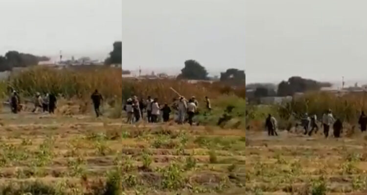 Violenta toma de terreno en Valle de Lluta en Arica