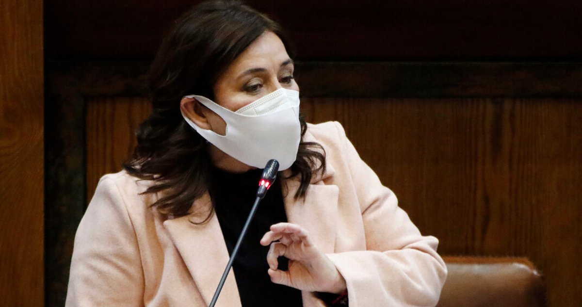 ministra Yarza resta urgencia a designación de nuevo seremi de salud en los Ríos