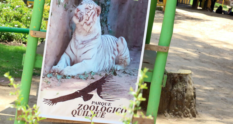 Zoológico de Quilpué