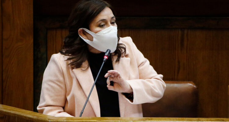 ex-ministra-yarza-recurso-proteccion