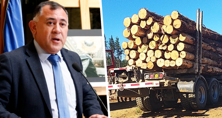 Aedo acusa que a 600 personas armadas se les paga más de $1 millón por robar madera en Macrozona Sur