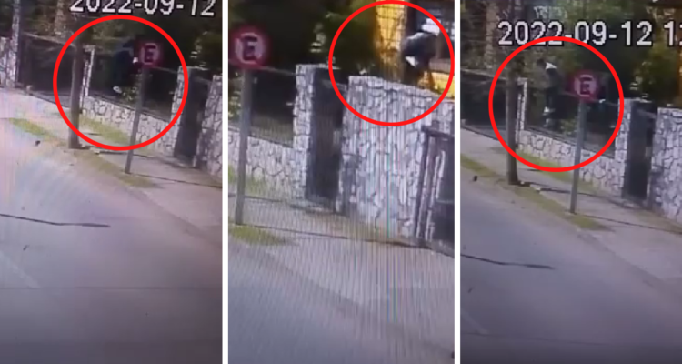 Video capta descarado robo a vivienda en sector Andalué de San Pedro de la Paz.