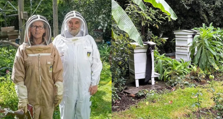Apicultor real informó de la muerte de Isabel II a sus abejas