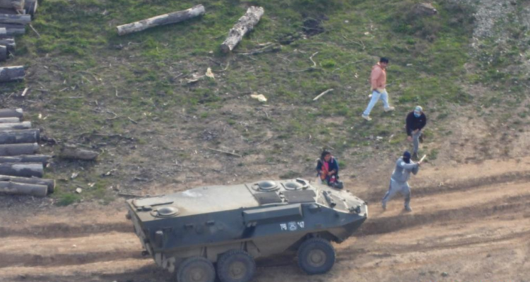 Arauco se querella por hurto simple tras robo de madera que dejó 19 heridos por enfrentamientos.