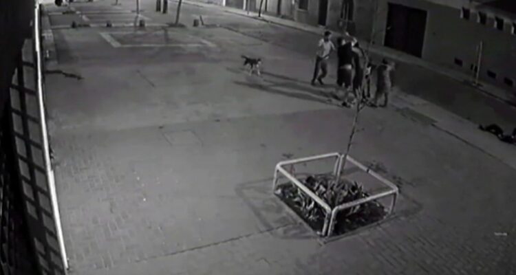 Cuatro detenidos por asesinato de joven en Parque Almagro: fue apuñalado y golpeado con un scooter