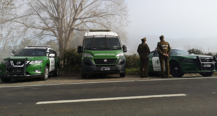 Subsecretario Monsalve descarta el uso de explosivos en ataque a torres de eléctricas en Hualqui.