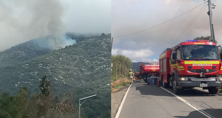 Onemi evacua sector de Llano Caleu por incendio forestal en Tiltil