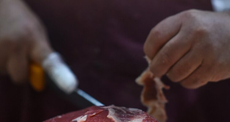 Denuncian faenamiento de perros, gatos y caballos en El Quisco: municipio maneja versión del hecho