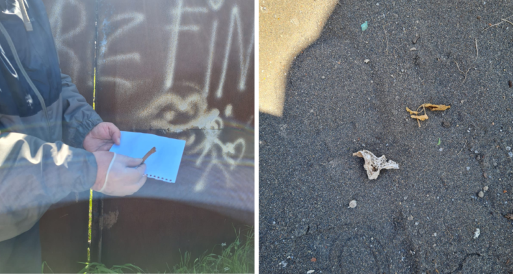 Inician sumario contra municipio de Talcahuano por restos óseos en sitio colindante al Cementerio 2.