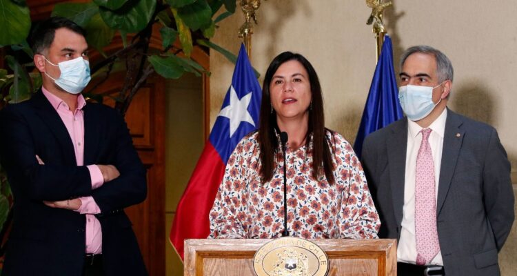 chile vamos constitución