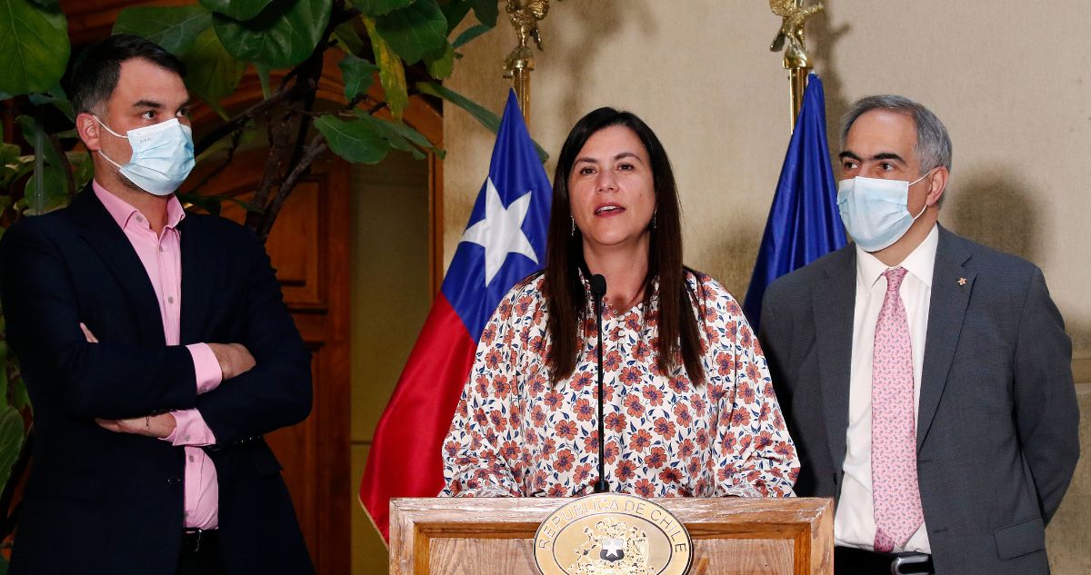 chile vamos constitución