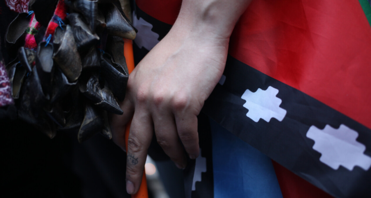 Comunidad mapuche presenta recurso de reclamación contra BBNN por no poder inscribir terreno en Panguipulli.