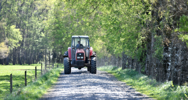 comunidad-weichan-mapu-frutillar-agricultor