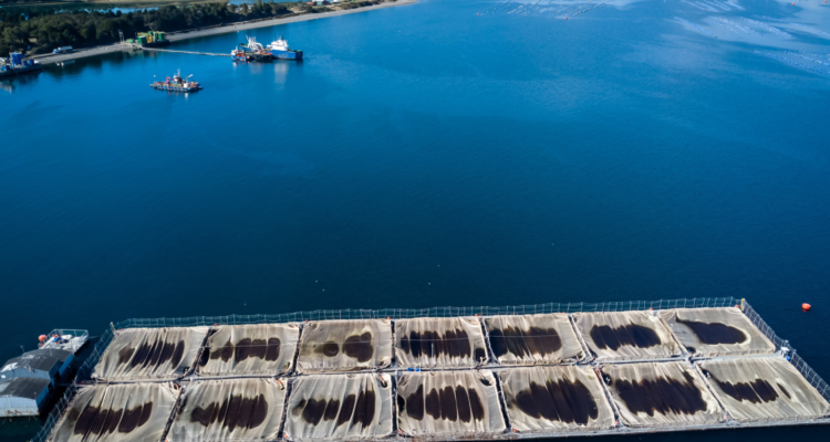 Consejo del Salmón TPP11