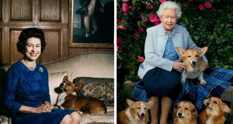 Reina Isabel II con sus perros corgis