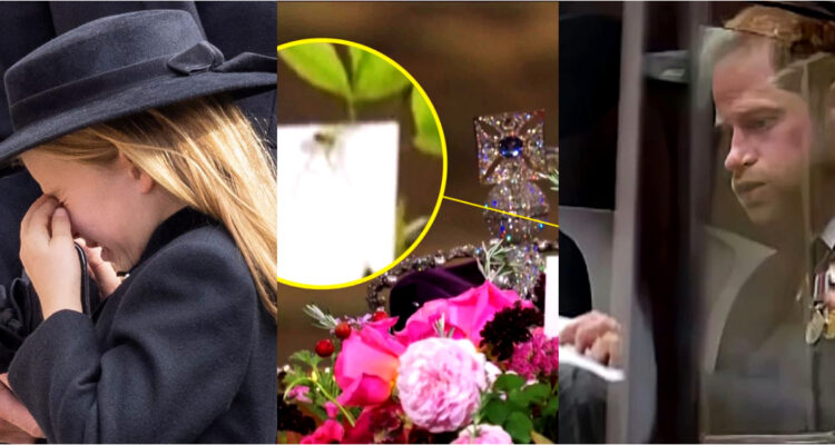 cosas que no notaste en el funeral