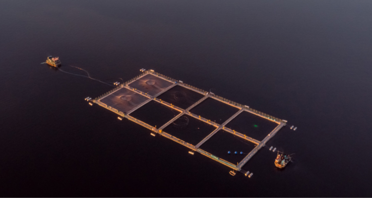 denuncia de virus en centro de cultivo