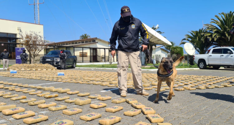 Varios detenidos y 1,5 toneladas de marihuana incautada deja gran operativo policial en Valparaíso
