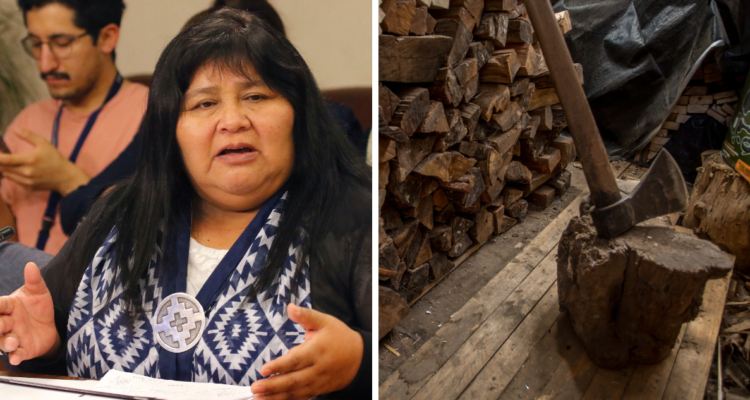 Diputada Nuyado valora programa “Ta´ buena tu Leña Seca”, pero asegura que no soluciona problema