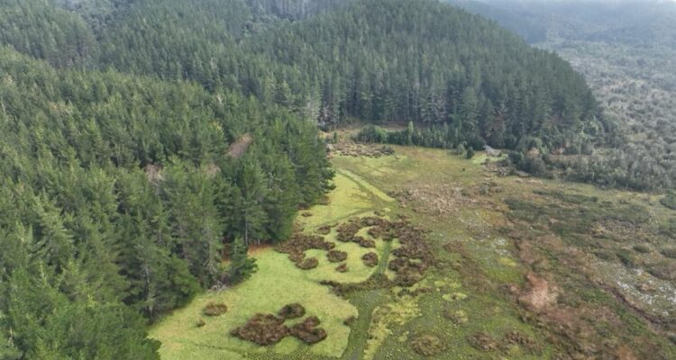 Dron fiscalización Valdivia