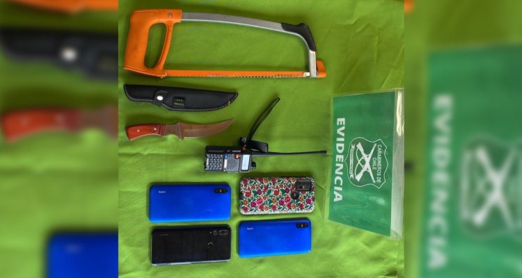 Especies de autos robadas en Purranque