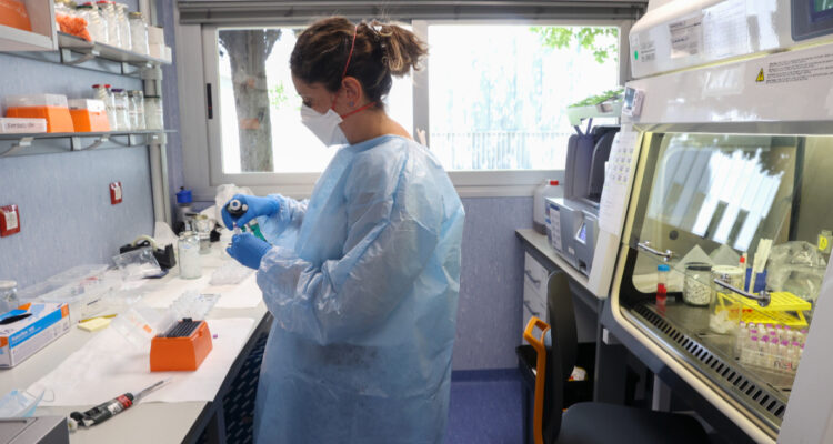 Europa acumula más de 23.000 casos de viruela del mono, según la OMS