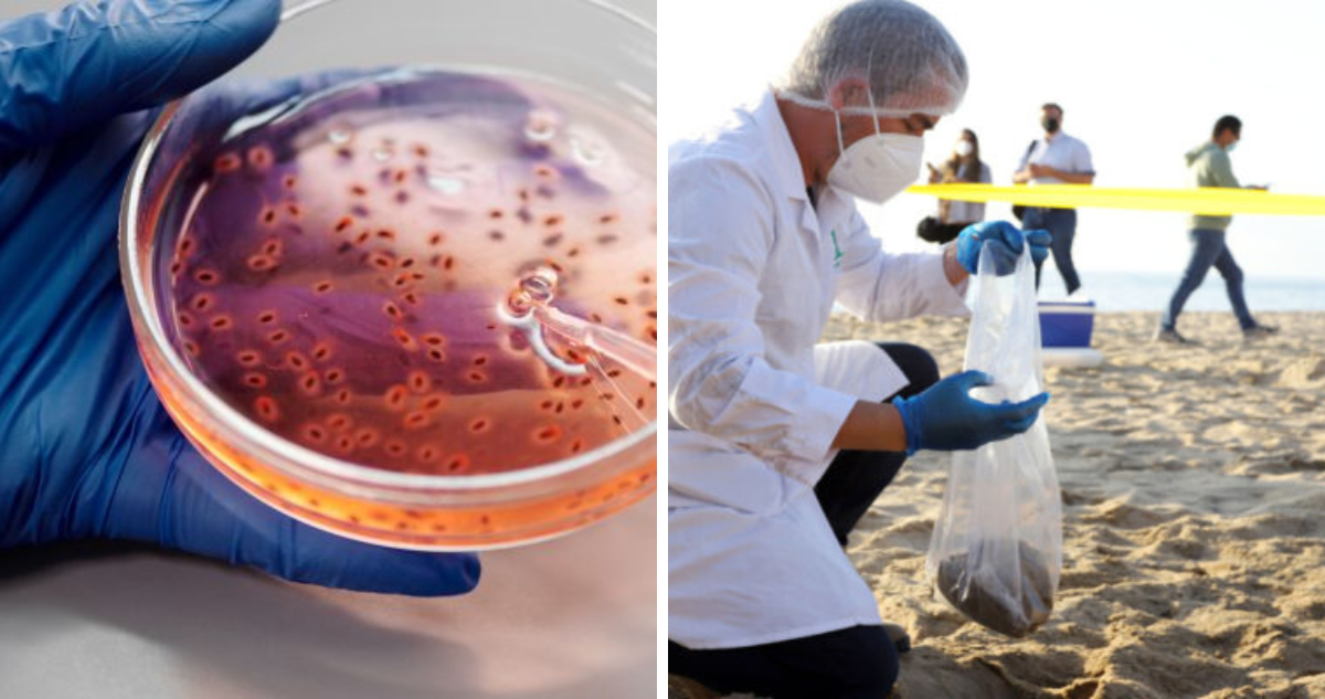 Experto explica cómo descontaminarán Las Salinas