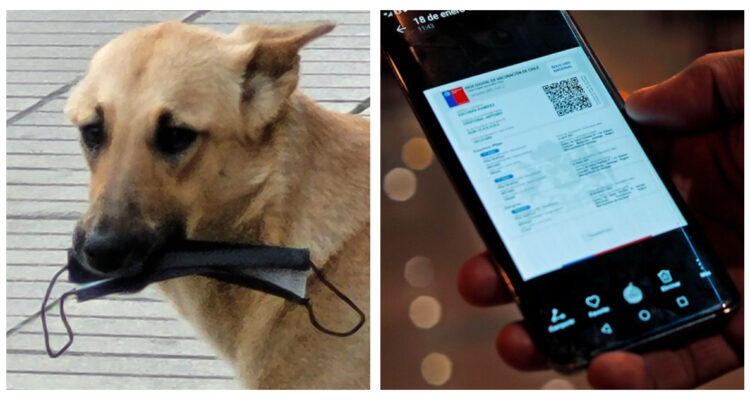 Foto de mascarillas y pase de movilidad, que se acaban en la Fase de Apertura