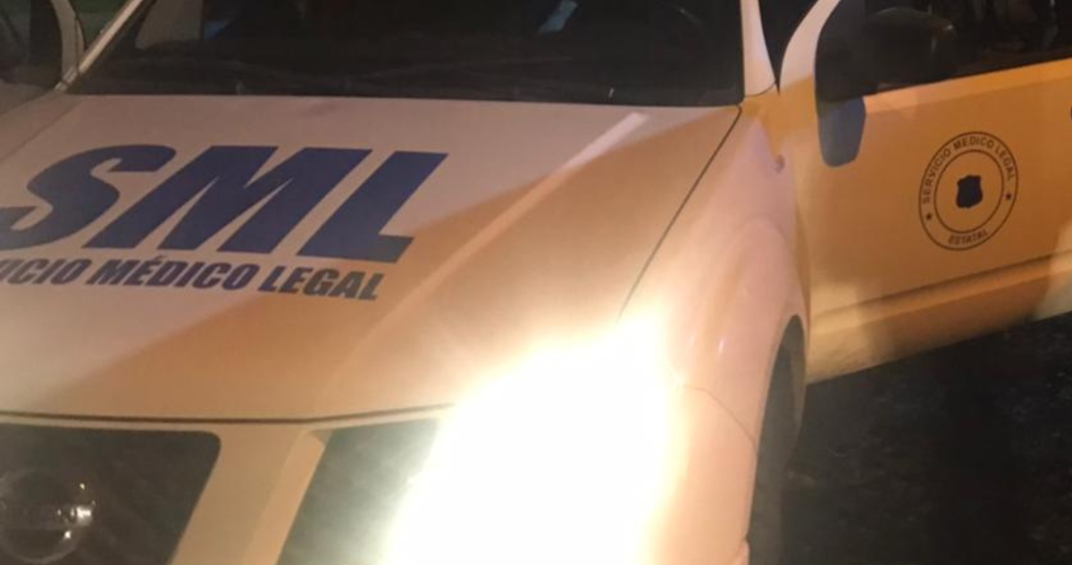 Detienen a hombre por femicidio en Futrono: cuerpo fue hallado por hijo menor de edad de la víctima.