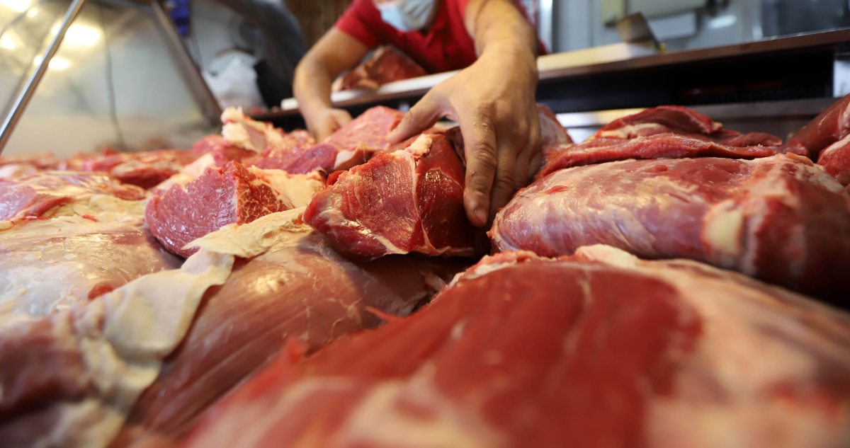 Fiestas Patrias: SAG fiscaliza venta de carnes, chicha de uva y pipeño en Puerto Montt