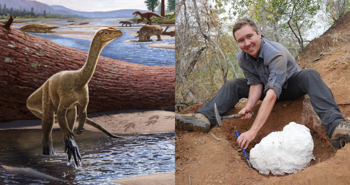 dinosaurio-áfrica