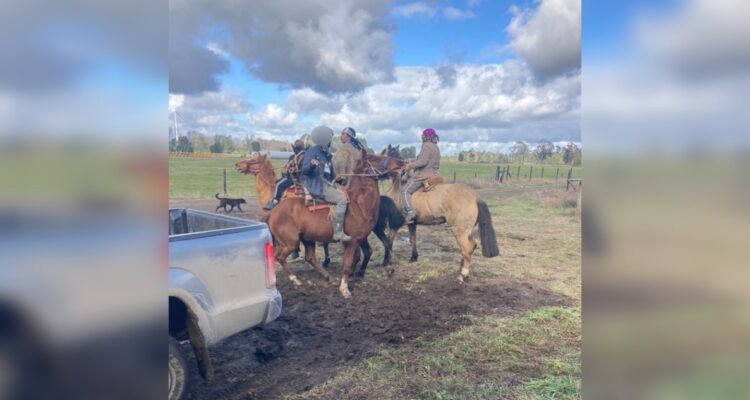 Multigremial del Sur | Twiiter