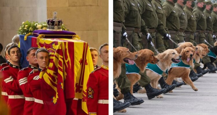Dónde y a qué hora ver el funeral de la reina Isabel II
