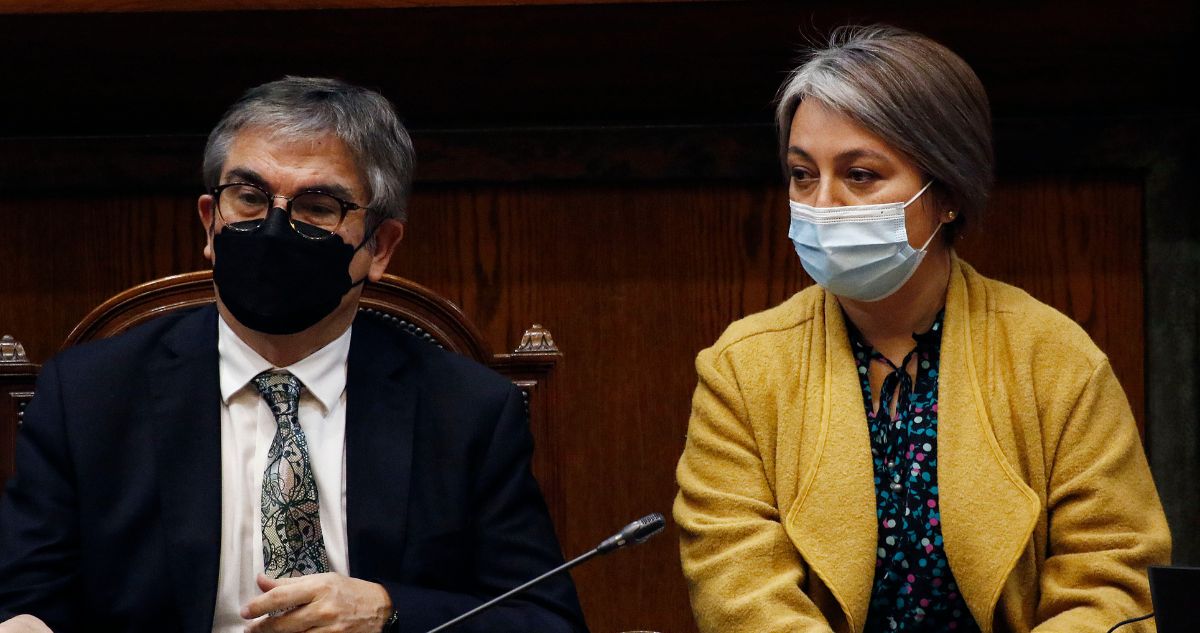 gobierno reforma previsional