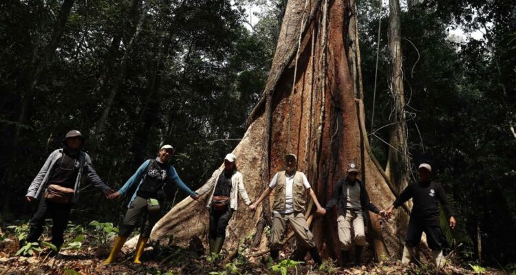 La vida de los guardabosques en la Amazonía