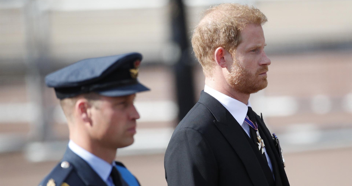 Harry y Príncipe William en el cortejo de la Reina Isabel II
