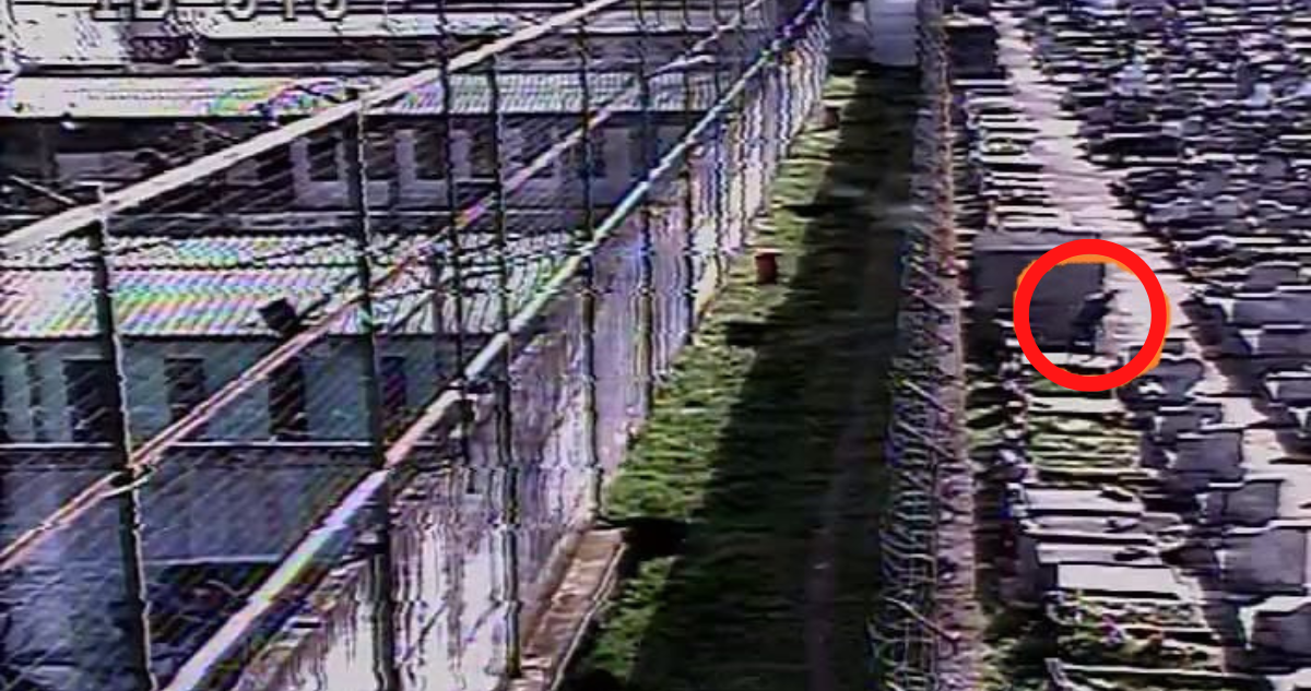 Hombre es detenido tras lanzar paquetes con celulares y droga al interior de cárcel en Osorno