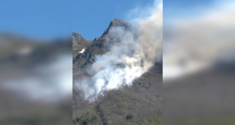Incendio forestal consume al menos una hectárea de bosque nativo en Antuco